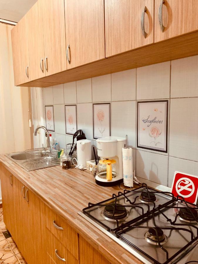 Ultracentral Apartment With All You Need: Wifi, Tv, Ac, Washer, Coffe Timişoara Exterior foto